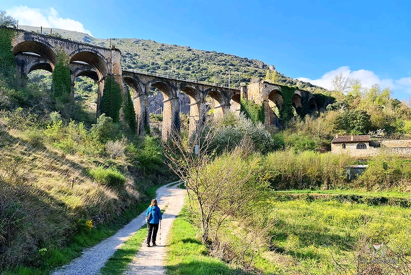 elliodeabi's tweet photo. Camino de Santiago, Vía de Bayona en el desfiladero de Pancorbo https://t.co/BZFAltxsK0 #CaminoDeSantiago #ViaDeLaPlata #Pancorbo #Burgos #CyLesVida https://t.co/dZlSjzEsuy