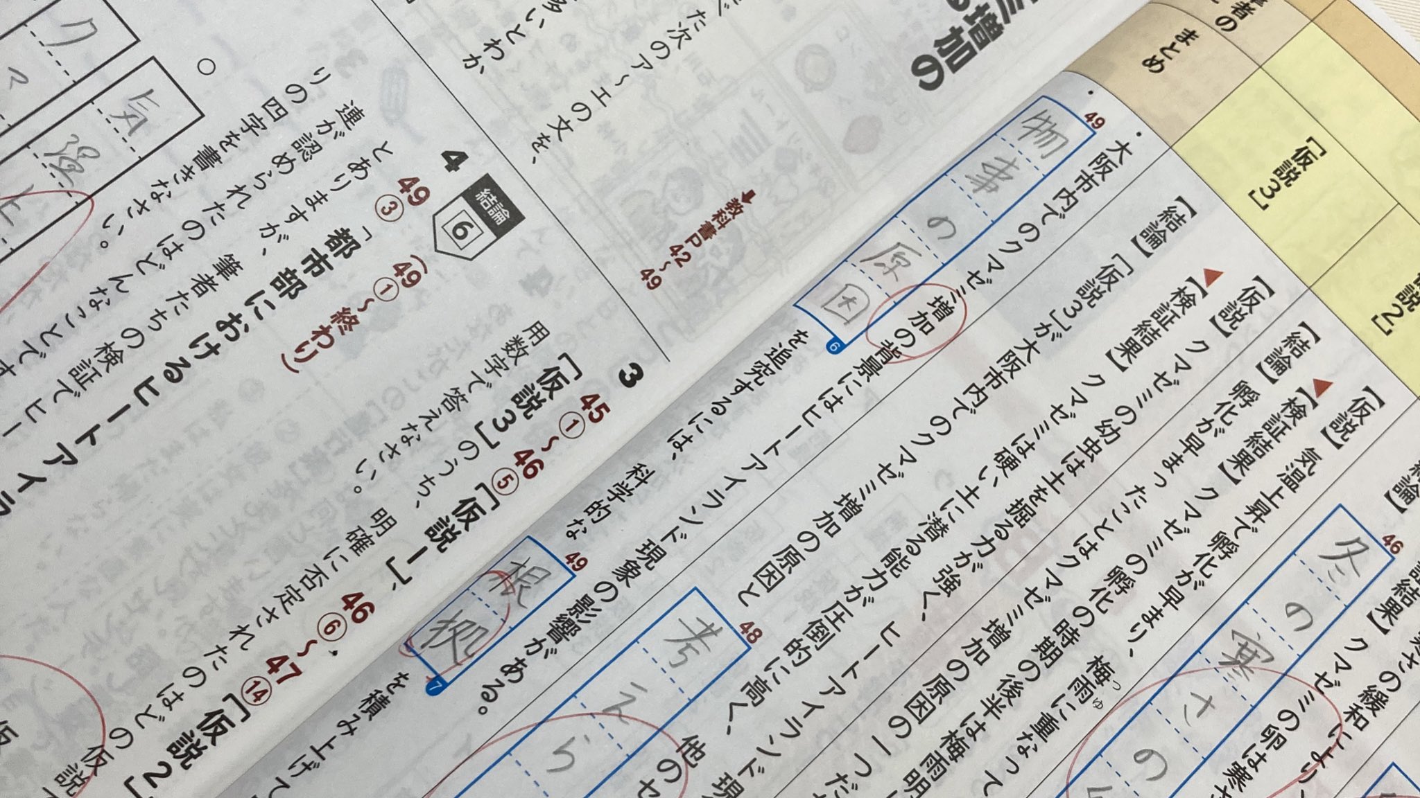 おれさま O Re Sa Ma Twitter