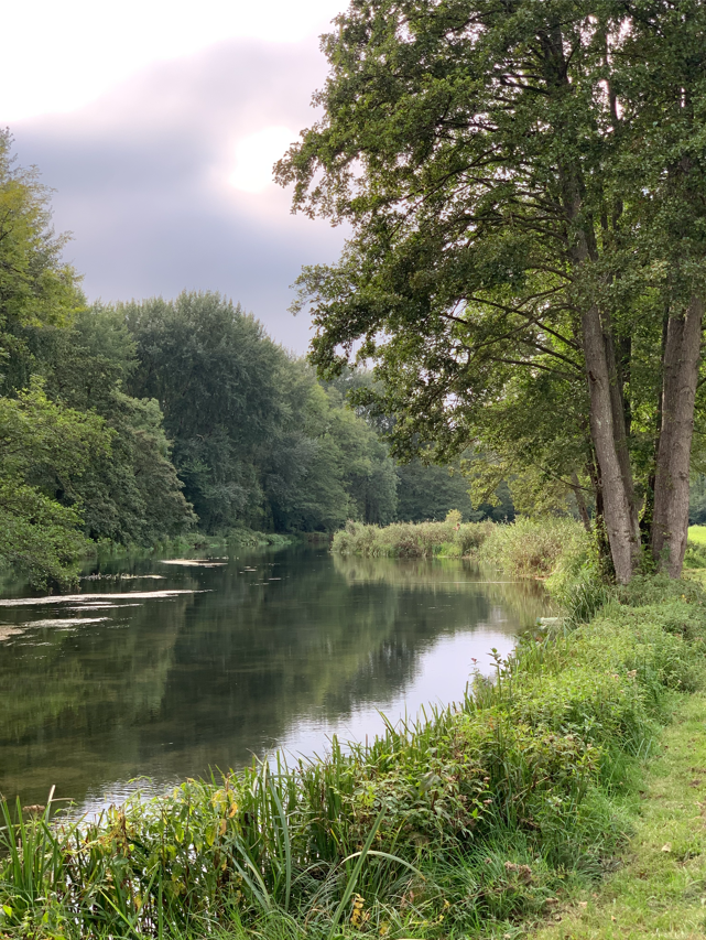 SalmonAlliance's tweet photo. We at the #MissingSalmonAlliance wish you a happy #WorldRiversDay.

Read our #WorldRiversDay blog here:

https://t.co/sLMQ1JMktU https://t.co/jtfTjVIfxH