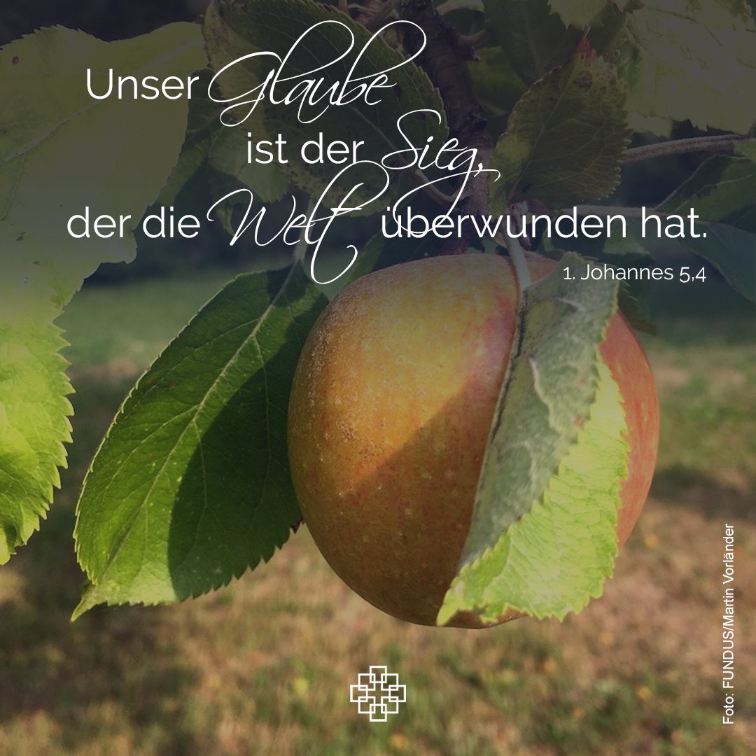 glaubensimpuls's tweet photo. Viel Segen und eine gute Woche wünschen wir mit dem heutigen Wochenspruch: Unser Glaube ist der Sieg, der die Welt überwunden hat. 1. Joh 5,4
#glaube #wochenspruch #september #ekhn #trinitatis https://t.co/zCMxEXYtTf