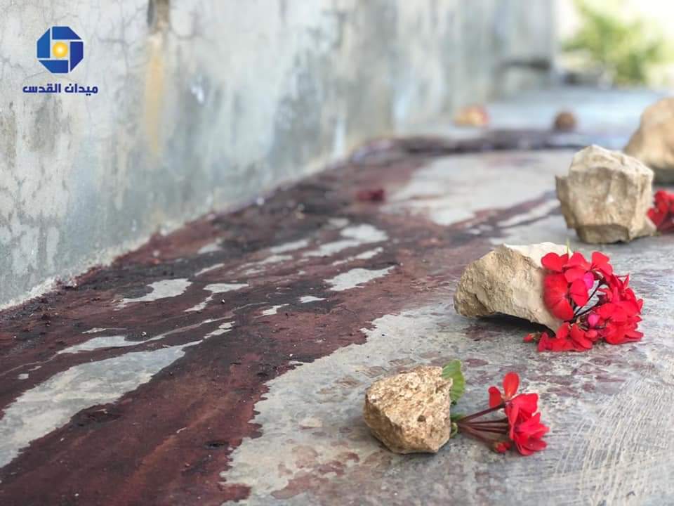 bashaer_shehada's tweet photo. Palestinians place roses around the land irrigated with the blood of one of the Palestinians who were killed by Israel this morning.💔
#Jerusalem
#Jenin #IsraeliCrimes #IsraeliTerrorism https://t.co/5S2oFBvlOi