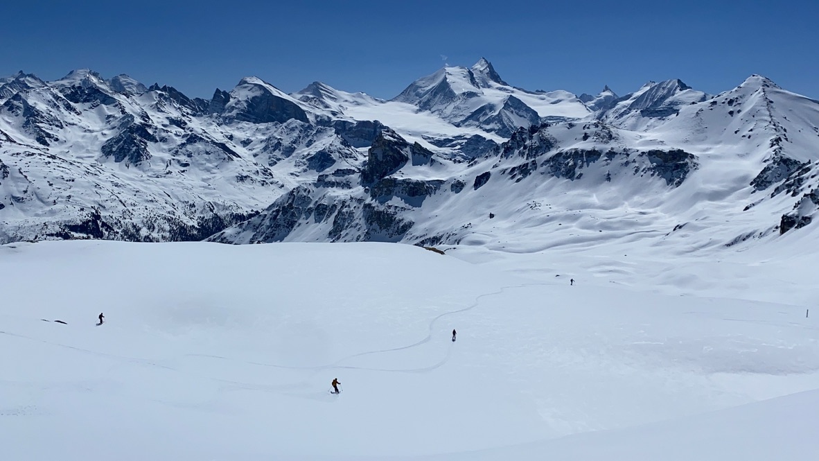 EndeavourMedical tweet media