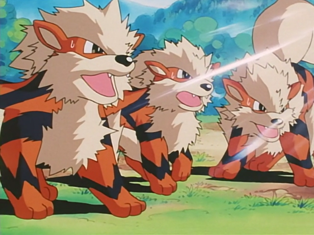 hourlypkmn's tweet photo. say hi to arcanine! https://t.co/WURFInByTF