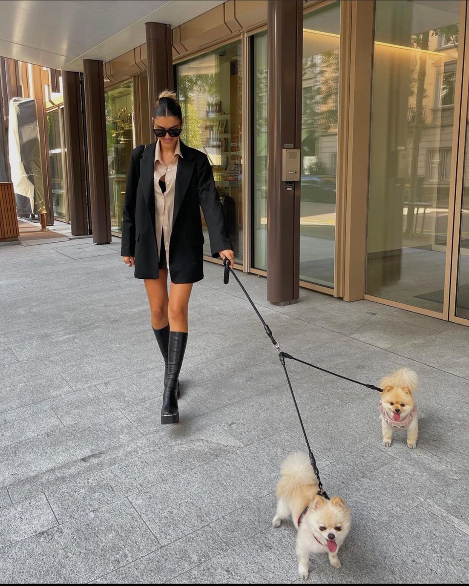 ElsaCarmilla's tweet photo. Having a walk with my cute dogs 🐶 @dubaitourism https://t.co/g02Xs72BM2
