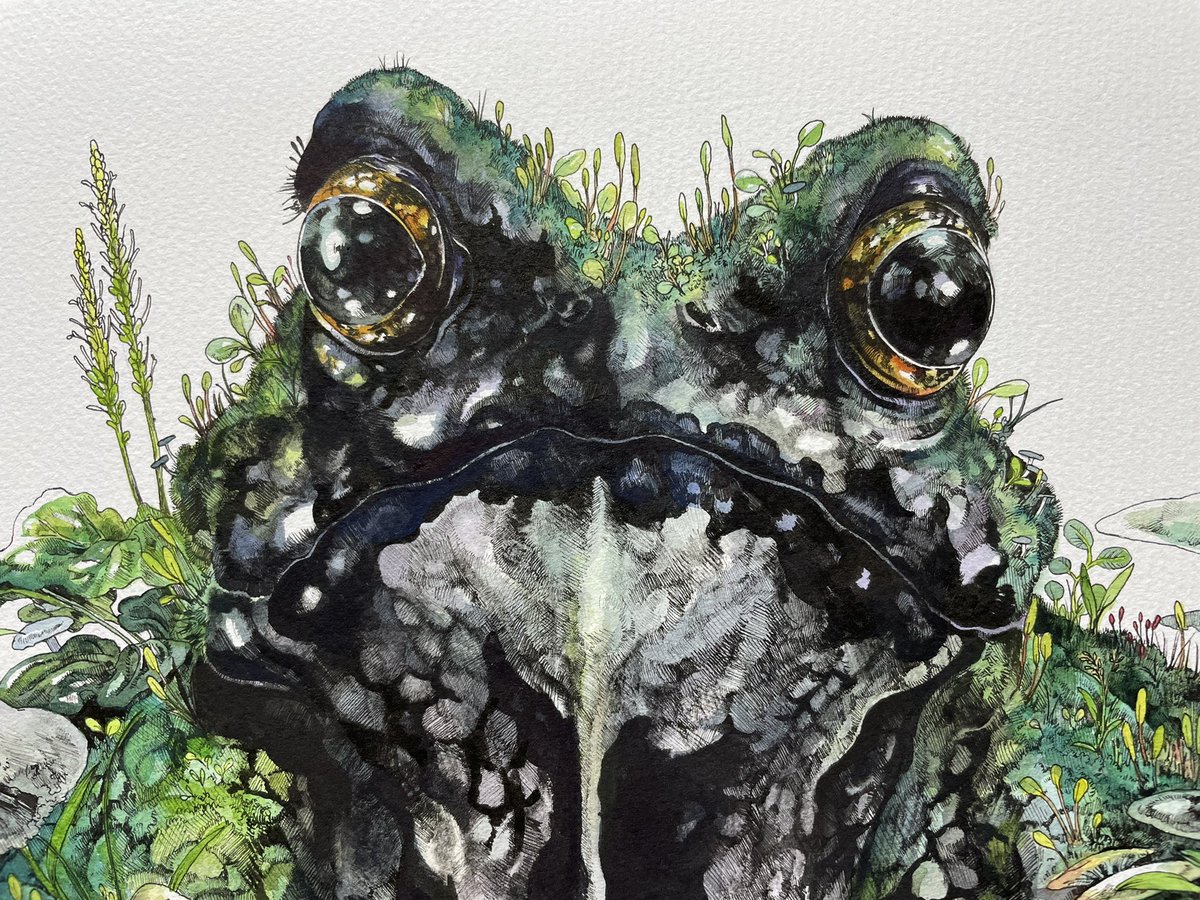 巌 F8号 H380 W455mm 水彩紙 水彩 ペン マツダケン マツダケン 1 2米子個展のイラスト