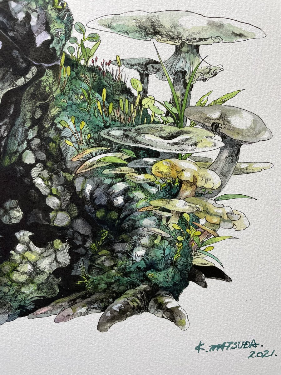 巌 F8号 H380 W455mm 水彩紙 水彩 ペン マツダケン マツダケン 1 2米子個展のイラスト