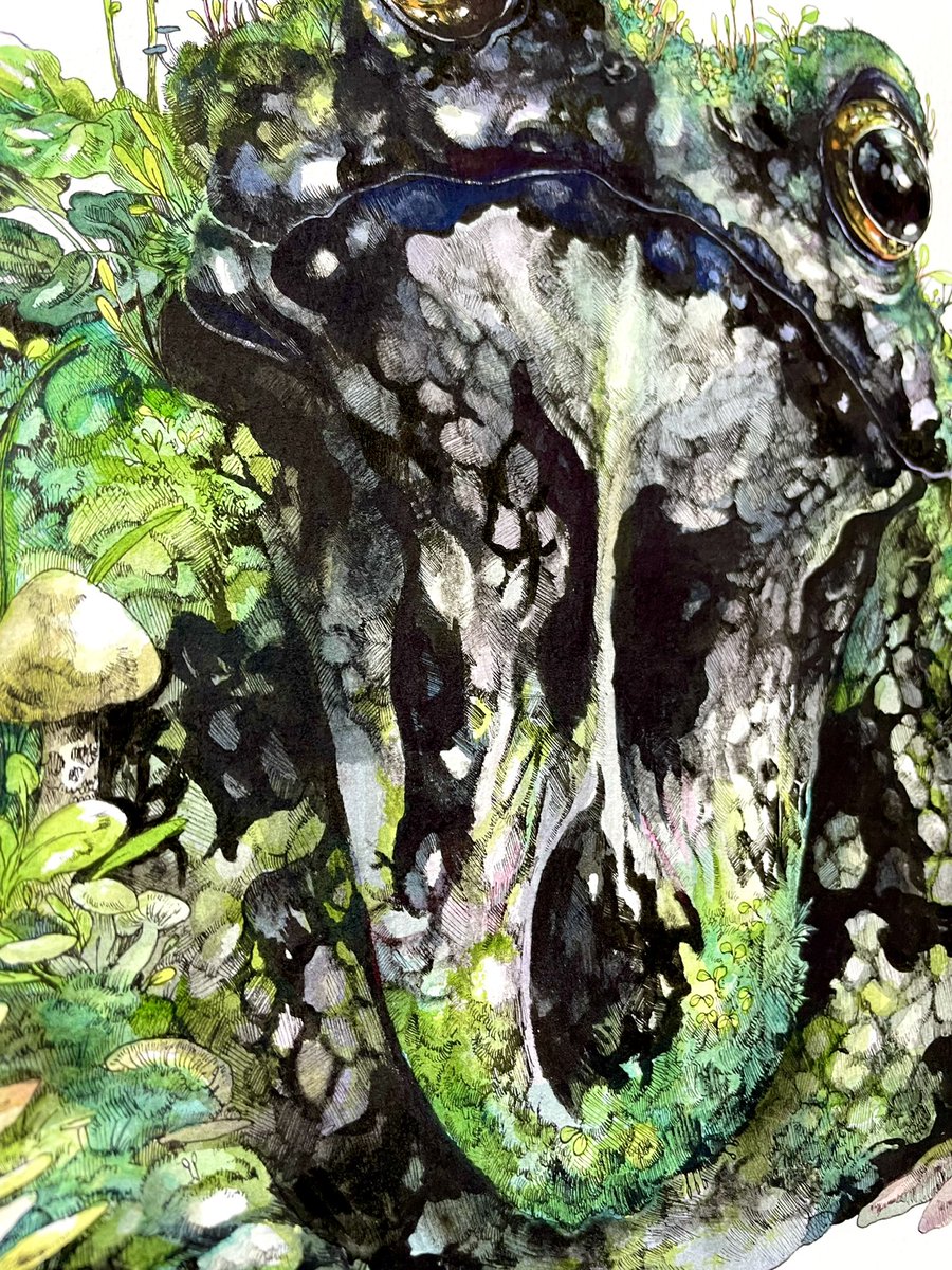 巌 F8号 H380 W455mm 水彩紙 水彩 ペン マツダケン マツダケン 1 2米子個展のイラスト