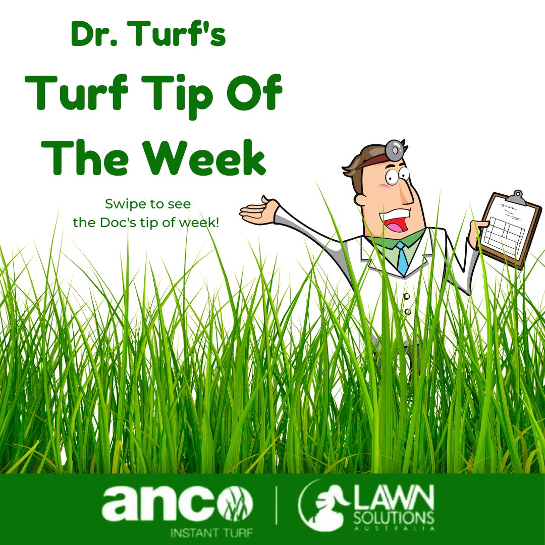 Ancoinstantturf's tweet image. It's that time of the week again! We're back with Dr. Turf's Turf Tip of the Week!

#AncoTurf #lawnsolutions #turflawn

1800 010 110
bit.ly/39gzNIX