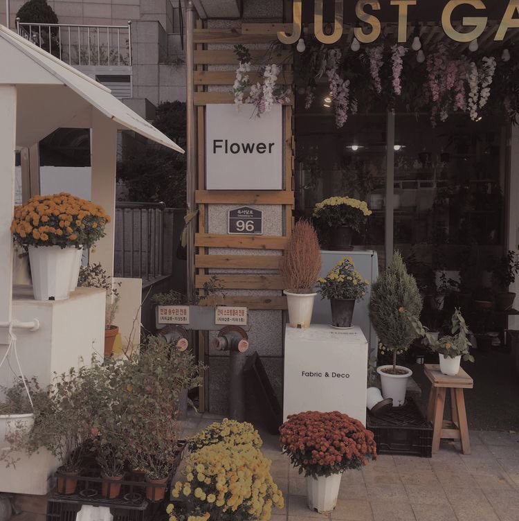 yuepovs's tweet photo. — paper roses, #jihan | #yoonhong au

he hates flowers so much. 

jeonghan hated them so much, he’d step on them. a trail of petals and a little accident; he met this flower shop employee and boy, he was cute. https://t.co/xZeZeIoN0U