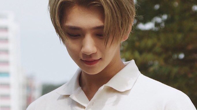 yuepovs's tweet photo. — paper roses, #jihan | #yoonhong au

he hates flowers so much. 

jeonghan hated them so much, he’d step on them. a trail of petals and a little accident; he met this flower shop employee and boy, he was cute. https://t.co/xZeZeIoN0U
