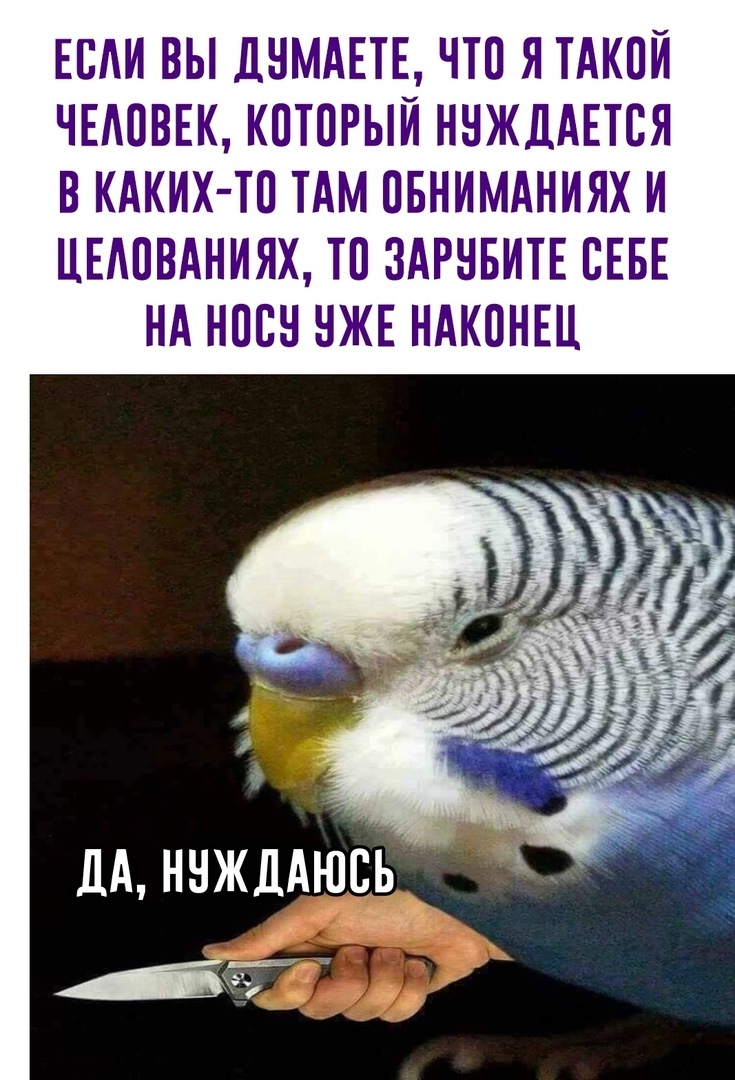 СМСник (@tw_sms) on Twitter photo 