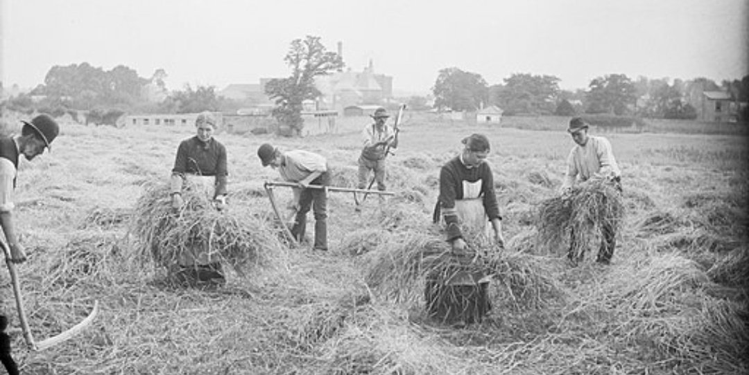 ACountryDiary's tweet photo. On this last #SeptemberSunday of 2021 my mind is flooded with childhood memories.
#September #Autumn #equinox #school #HiringFair #CornDolly #poetryireland #SeamusHeaney #BlackberryPicking #PatrickKavanagh
#Harvest #Ireland
Click To Read Them
๐๐๐๐๐
https://t.co/KAGzaDhMRB https://t.co/upRmkNbnJh