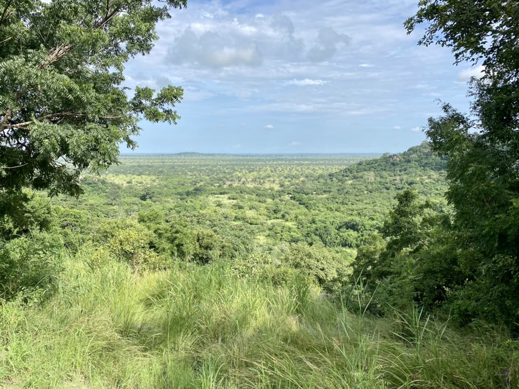 DiploTom's tweet photo. Gone glamping, right here in Ghana!😍 https://t.co/xId8VREgYX