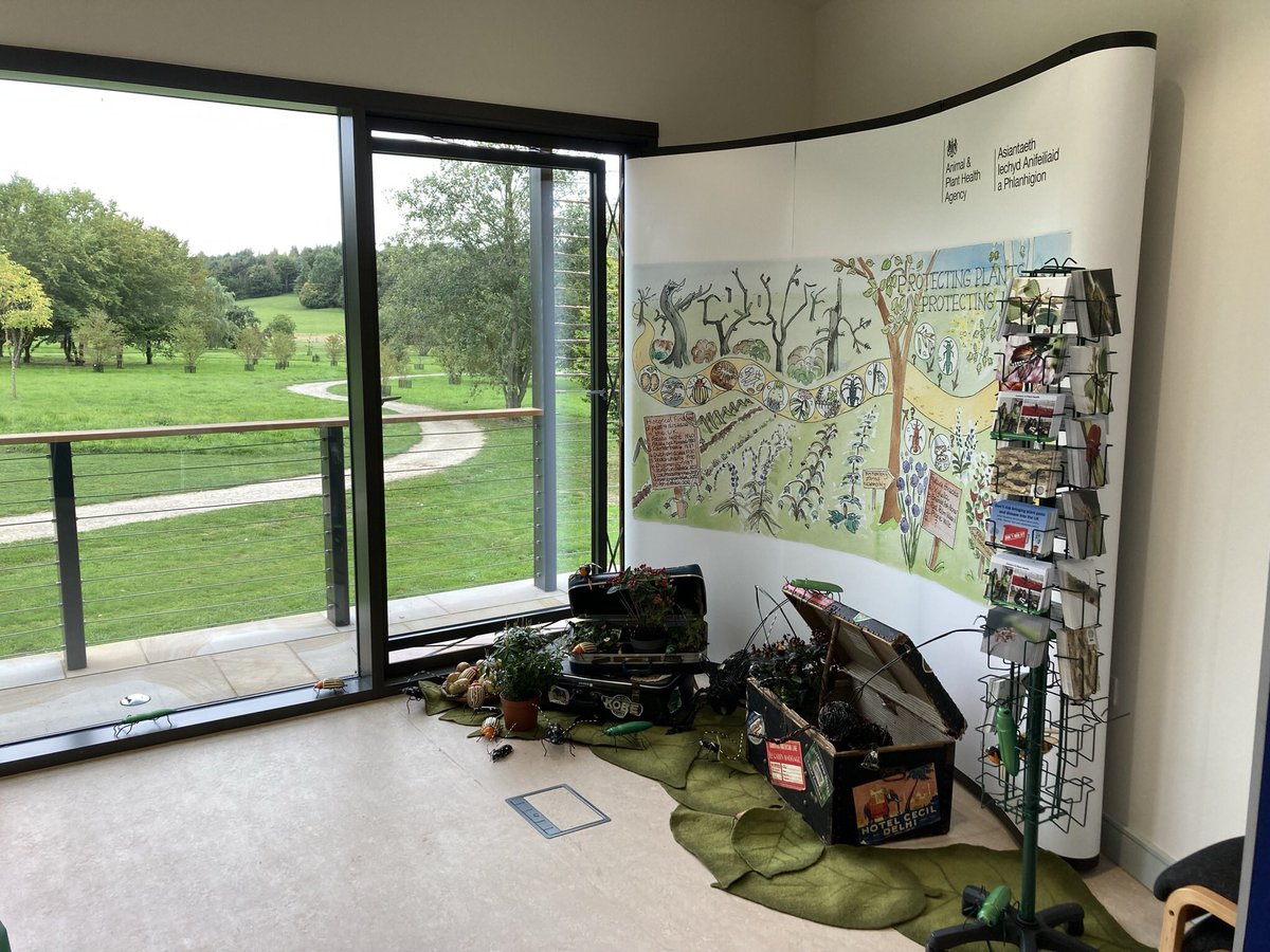cobwebdr's tweet photo. Fantastic weekend @YorTHC launch events - great to see @APHAgovuk @DefraGovUK @ForestryComm @Forest_Research @FeraScience colleagues #biosecurity #treecitzsci #observatree @WoodlandTrust @ynylep https://t.co/iaTu9sFAJb