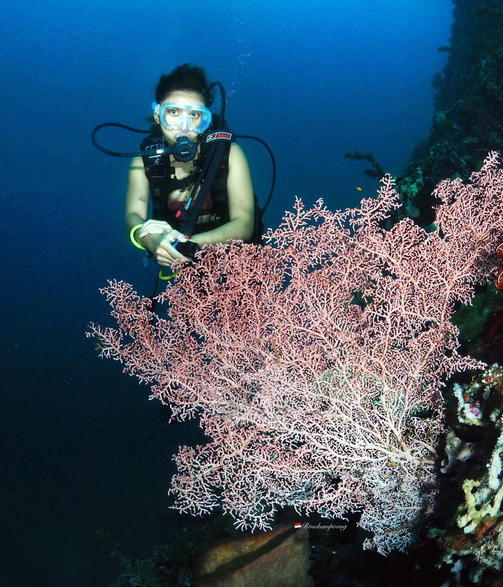 rosekampoong's tweet photo. Axel n Pink coral  https://t.co/C5W6dCUBOT https://t.co/jgdaCf6ryT