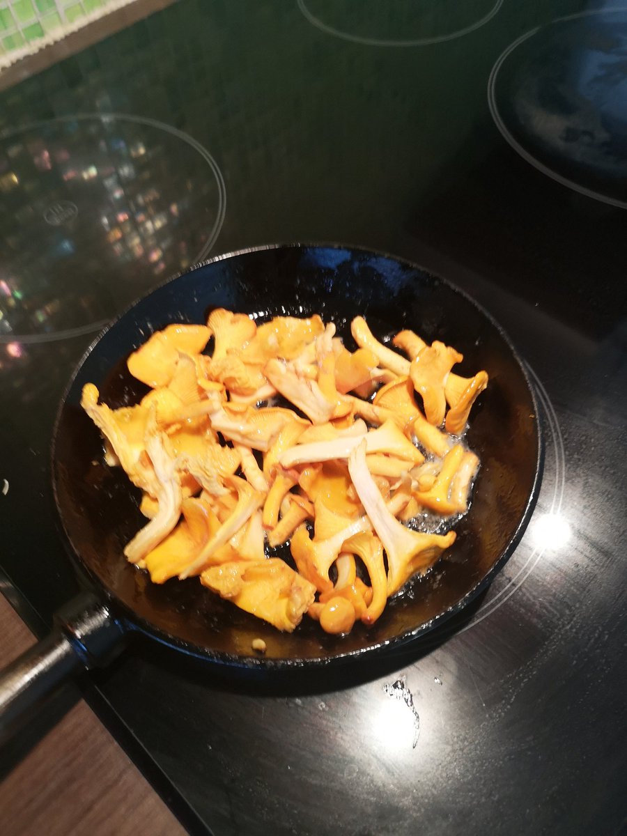 preppeliprepp's tweet photo. Skogens guld är bara att plocka! Så får man kantarelltoast till frukost 😁 https://t.co/pf2kChBu3x