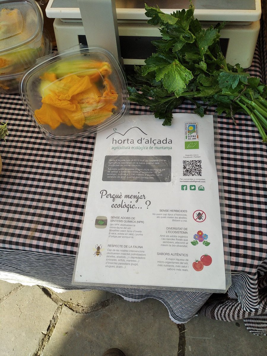 HortadAlcada's tweet photo. Mentrestant no glaçi encara tenim #FlorDeCarbasso , producte molt delicat només apte per els més #Gourmet que només trobareu al #MercatSantLlorenç els diumenges.
#EcologicDeMuntanya #Sa #Bo https://t.co/s9ftELR0ty