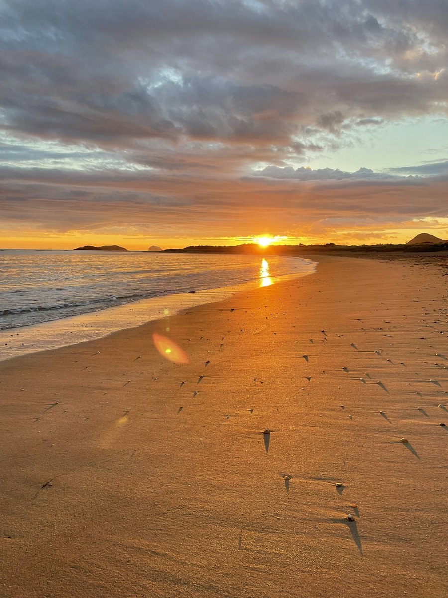 BeckyHarley5's tweet photo. Beautiful sunrise to wake up to this morning #travelscotland #backtonature #wildcamping https://t.co/en4trnIWUe