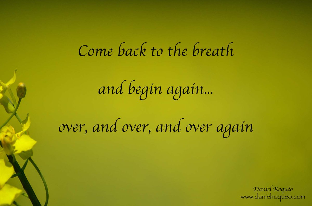 DanielRoqueo's tweet photo. As everything begins in consciousness, learning to come back to the nowness of this moment, is the most important of all practices.

What good will it do if we get so caught up in action and in doing that we lose our conscious connection with the source of all? https://t.co/G4kK3yu0bc