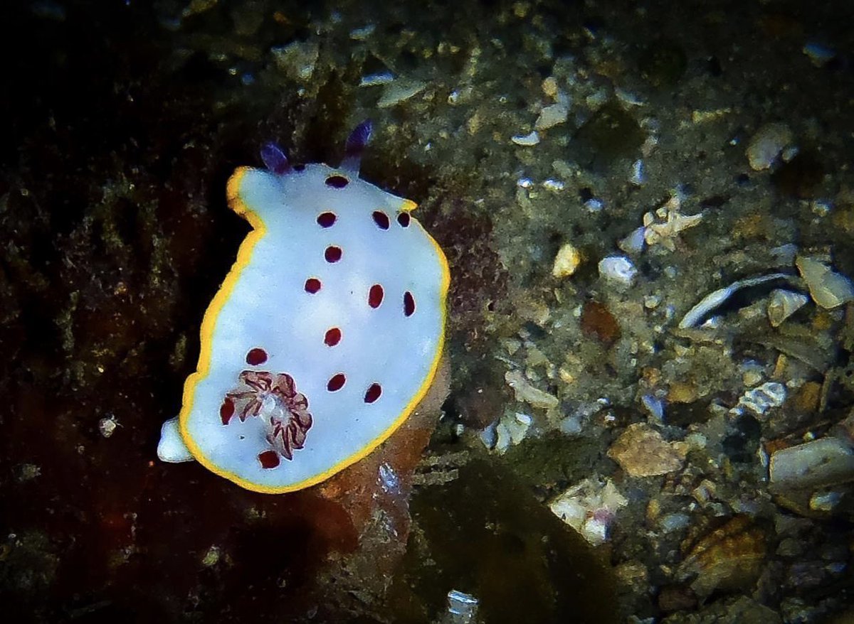 The beautiful underwater world.