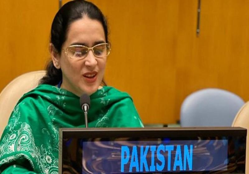 indus_tribune's tweet photo. Pakistan’s Visually Impaired Diplomat Wins Praise for Impressive UNGA Speech

Born on August 10, 1984, Saima is the first blind Civil Servant of Pakistan

https://t.co/BVDnHSyVuM https://t.co/aJLOZebW8Z