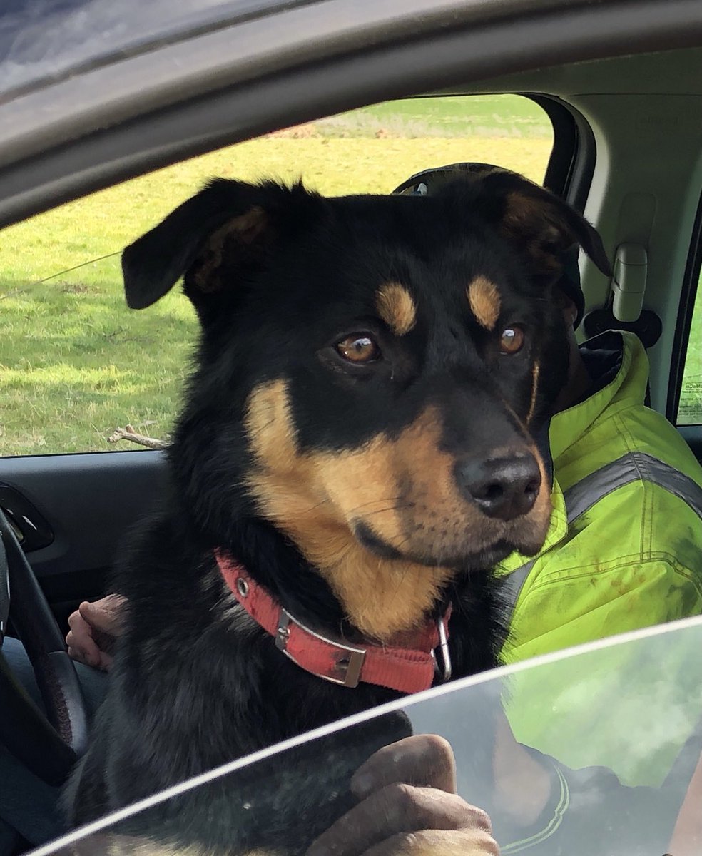 Sandra Lee tweet media