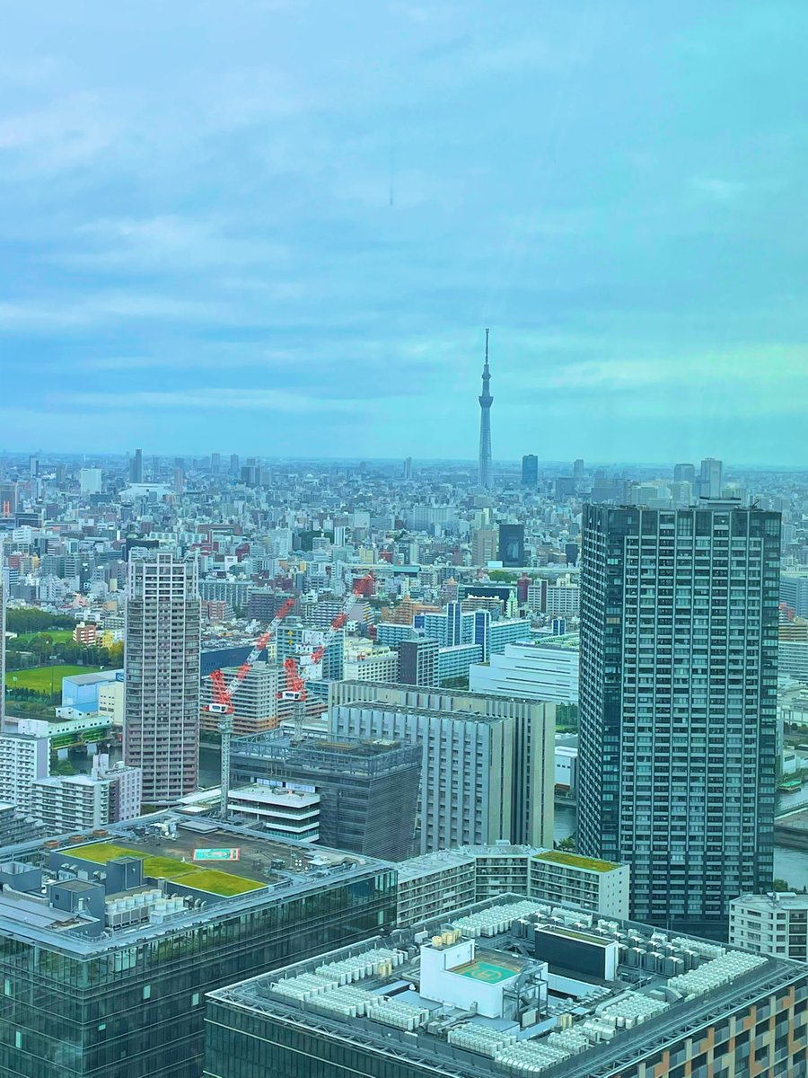 豊洲の歩き方 ネオ江戸ベイエリア 豊洲市場 今日の 豊洲スカイツリー 豊洲からの東京スカイツリー 豊洲の歩き方 ネオ江戸ベイエリア 豊洲市場 今日の 豊洲スカイツリー 豊洲からの東京スカイツリー