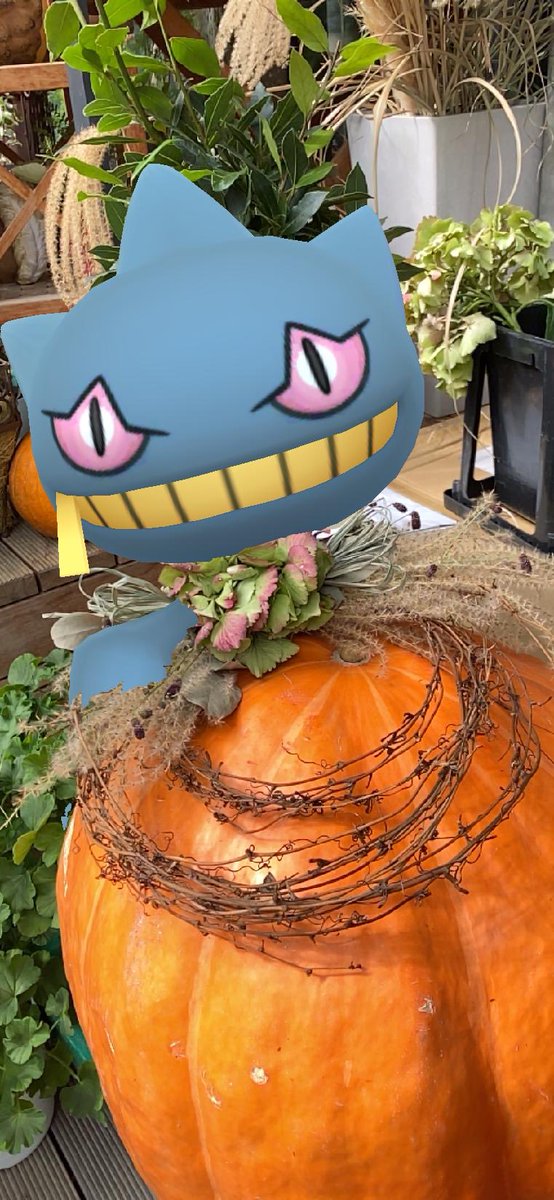 ゆき V Twitter カボチャのドレス 推しポケで初めてのブレンディング Aroftheday Gosnapshot Nianticar 秋のポケモン可愛い子ちゃん展覧会21 Go欲の秋 秋の訪れarコンテスト ポケモンgo Ar初心者 ジュペッタ T Co U8iywq5lkn