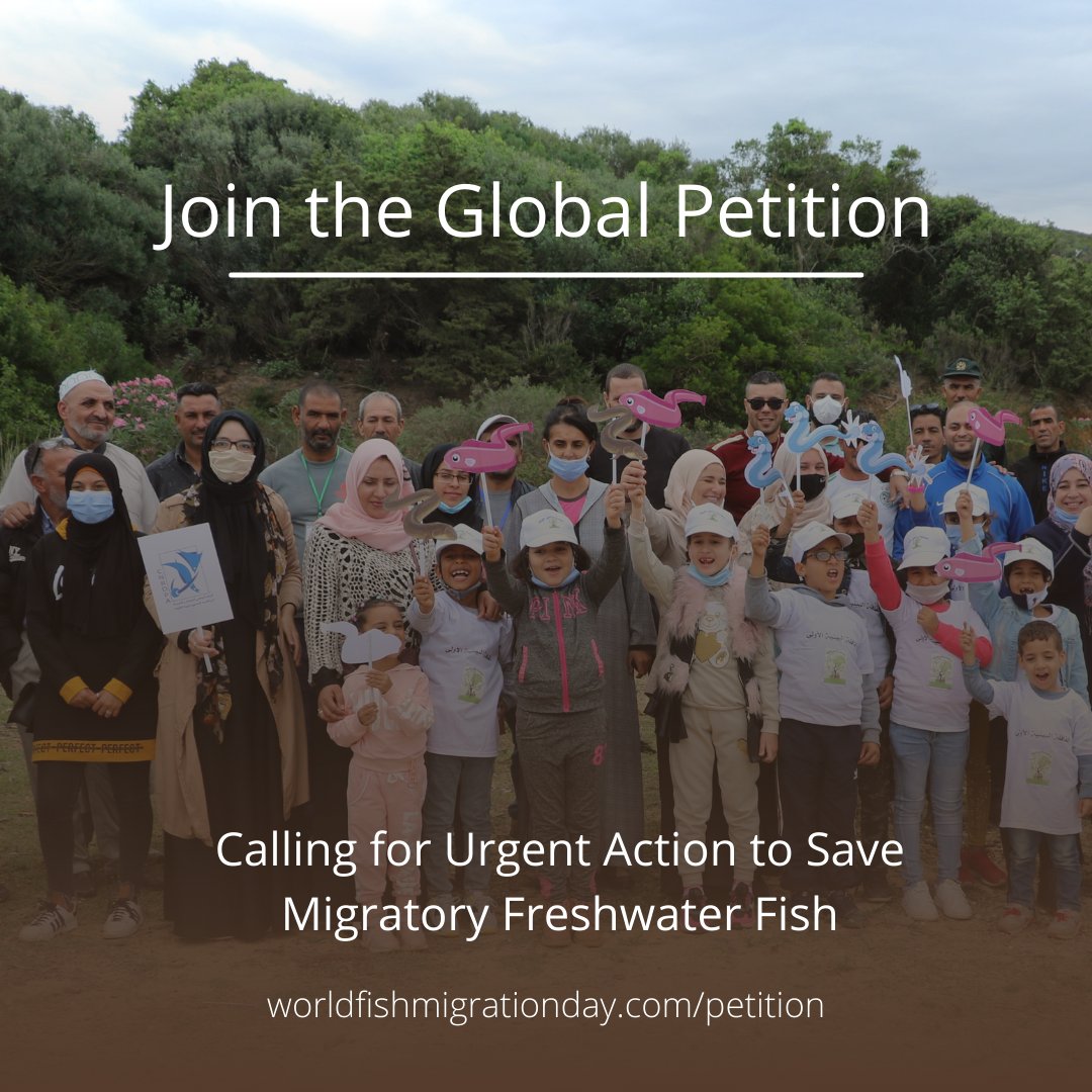 fishmigration's tweet image. 📢 Calling all organizations!

This #WorldRiversDay, we are celebrating by launching a GLOBAL PETITION aimed at national &amp;amp; international decision makers calling for urgent action to save #migratoryfish! 

Learn more and sign here: worldfishmigrationday.com/petition/

@oneriveroneworld