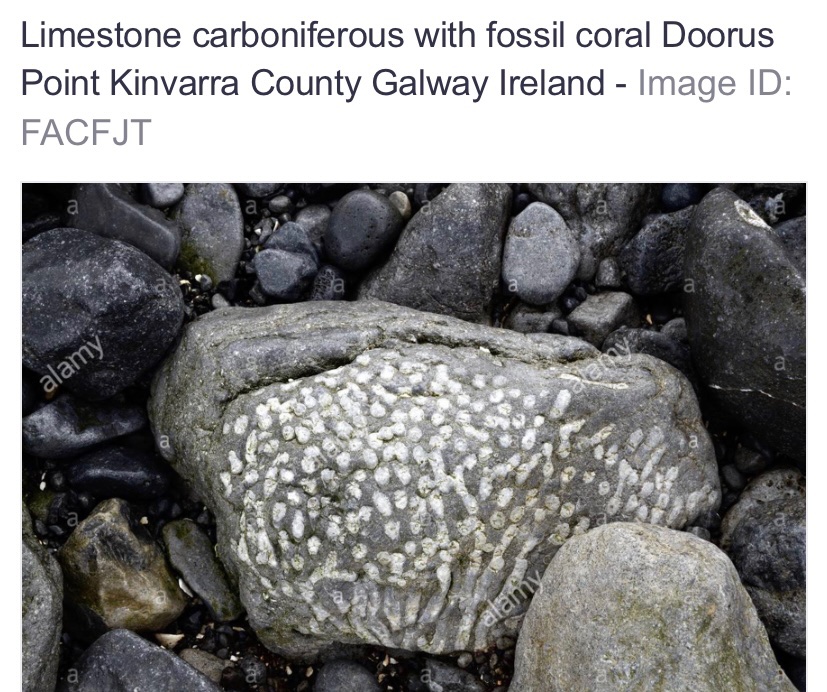 EArchaeol's tweet photo. As you know, we will be making an experimental archaeological replica of the Tetney axe/mace head and handle with @UniShefArch @Hugh_Willmott @HistoricEngland 

Grand... a road trip to Doorus Point, Galway Bay, on Ireland’s Atlantic coast to collect materials is now the plan! https://t.co/4FfCBC46gD
