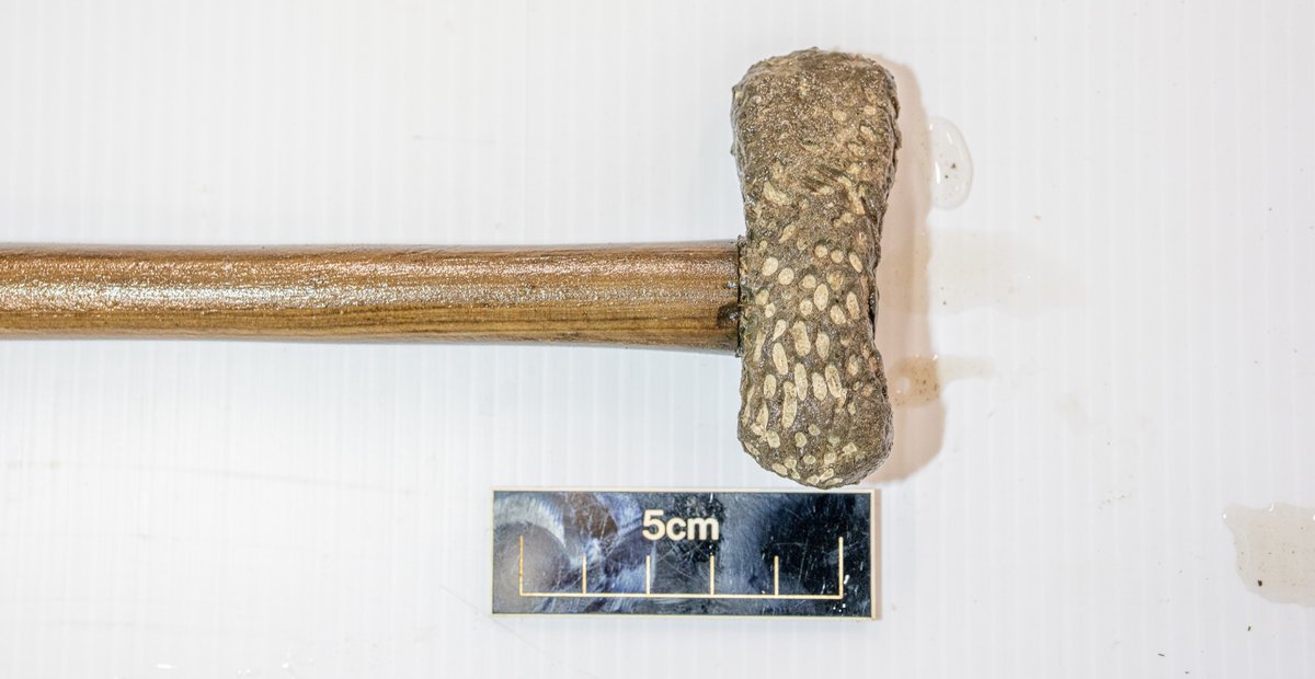 EArchaeol's tweet photo. As you know, we will be making an experimental archaeological replica of the Tetney axe/mace head and handle with @UniShefArch @Hugh_Willmott @HistoricEngland 

Grand... a road trip to Doorus Point, Galway Bay, on Ireland’s Atlantic coast to collect materials is now the plan! https://t.co/4FfCBC46gD