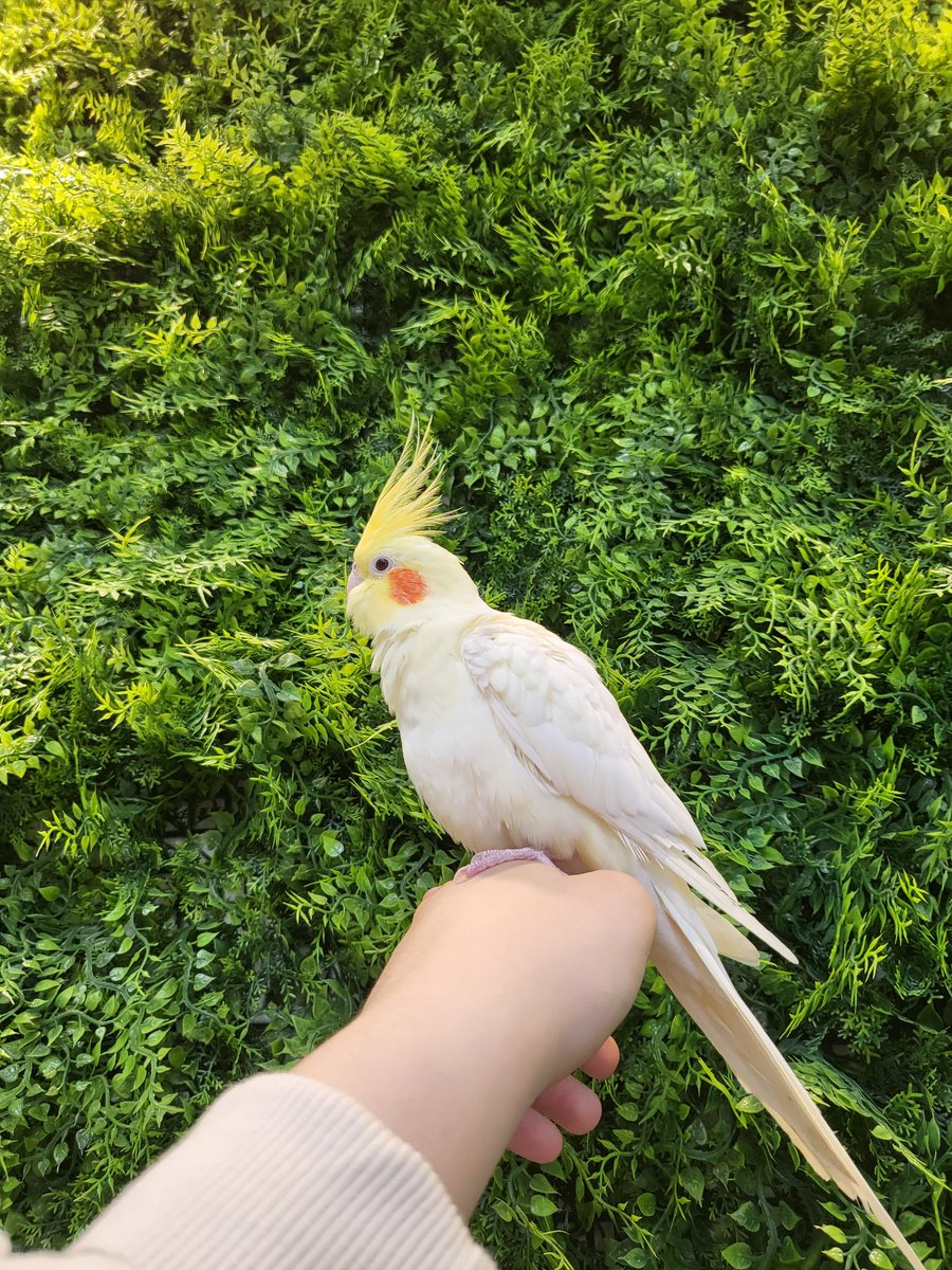 방생 시 제일 얌전한 휴지만 인생샷을 얻을 수 있었습니다.. (feat. 앵카 5바퀴 돌아서 혼돈의 카오스를 만든 칙촉 버터 먼지)