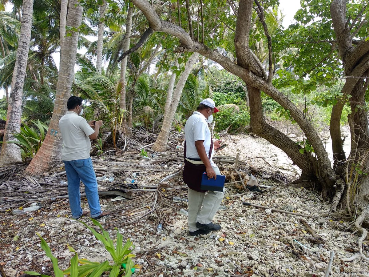 MoEnvmv's tweet photo. Groundwater mapping assessments ongoing in Th. Kandoodhoo under the GCF funded water project.#WATSAN #Water #Fenfahi #GCF #GroundWater #Aquifer @UNDPMaldives @theGCF @lgaMaldives https://t.co/J2Hq8X6NPE