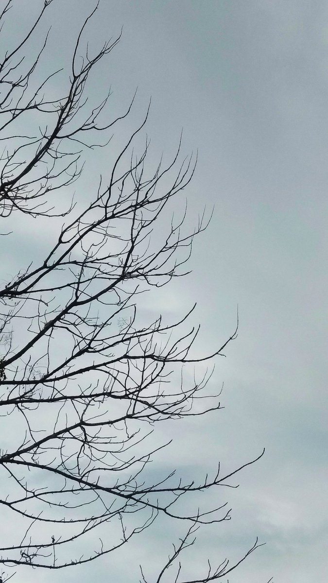 ManjeriPrajeesh's tweet image. 😢😢😢