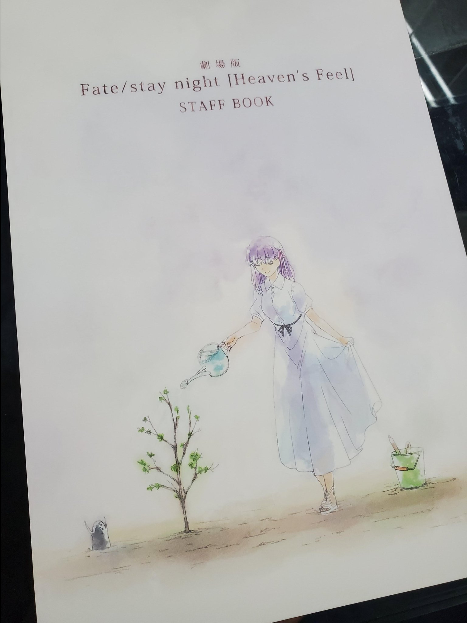 アート・デザイン・音楽 Fate/stay night Heaven's Feel STAFF BOOK Fate/stay night 'Heaven's Feel' Staff Book - from JAPAN | eBay