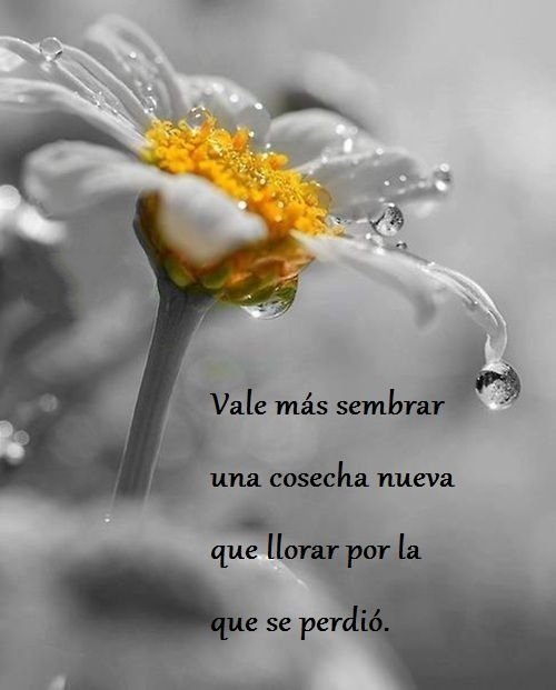macapumu4384's tweet photo. Buenos días...
#FelizDomingo https://t.co/ybj1Oofxry