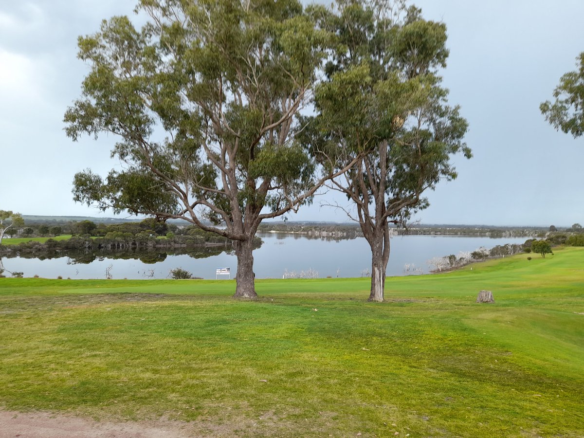 Golf may stuff up a good walk,but what a place to do it