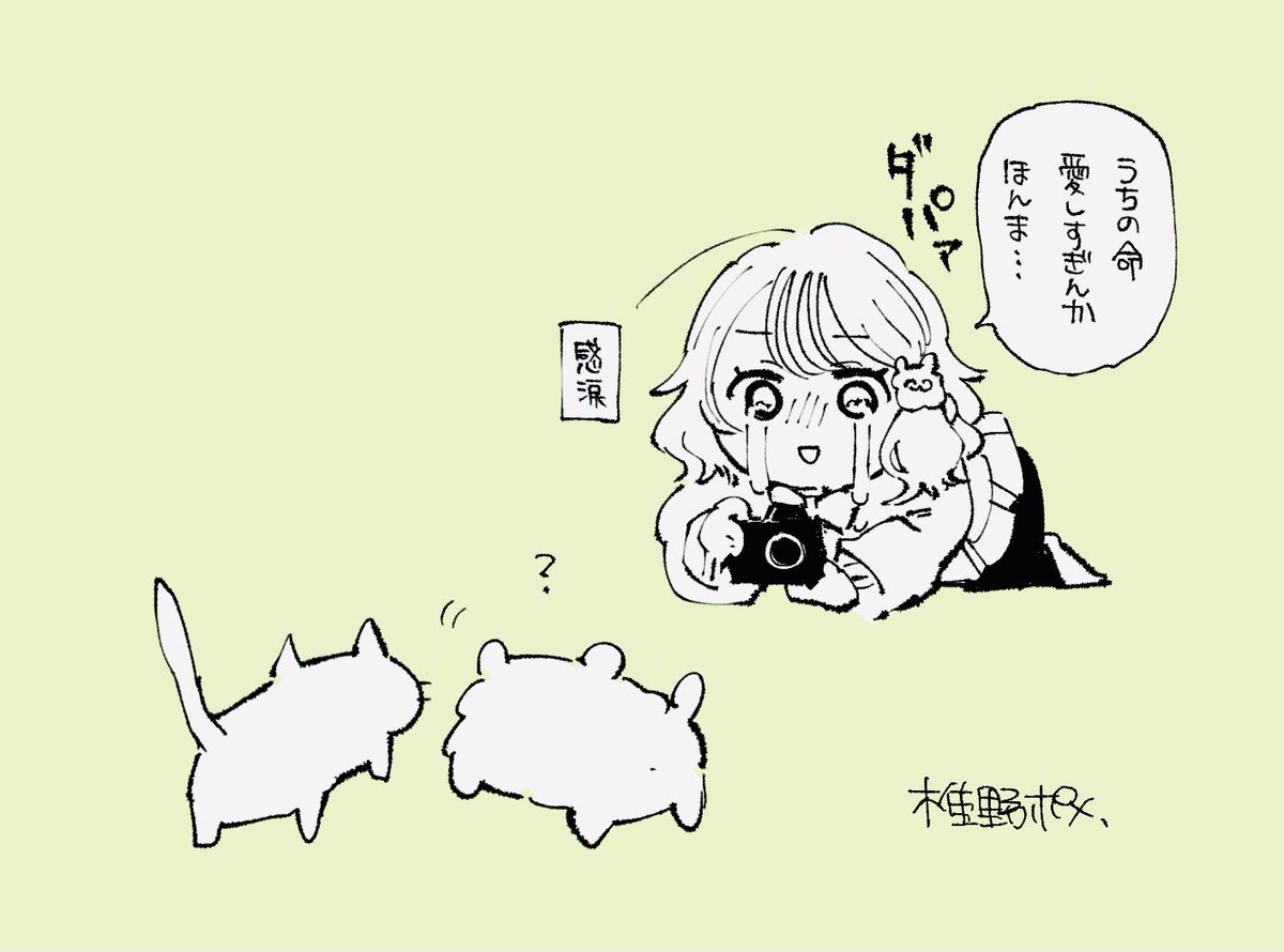 電子ドック電子キャットの日記です 
