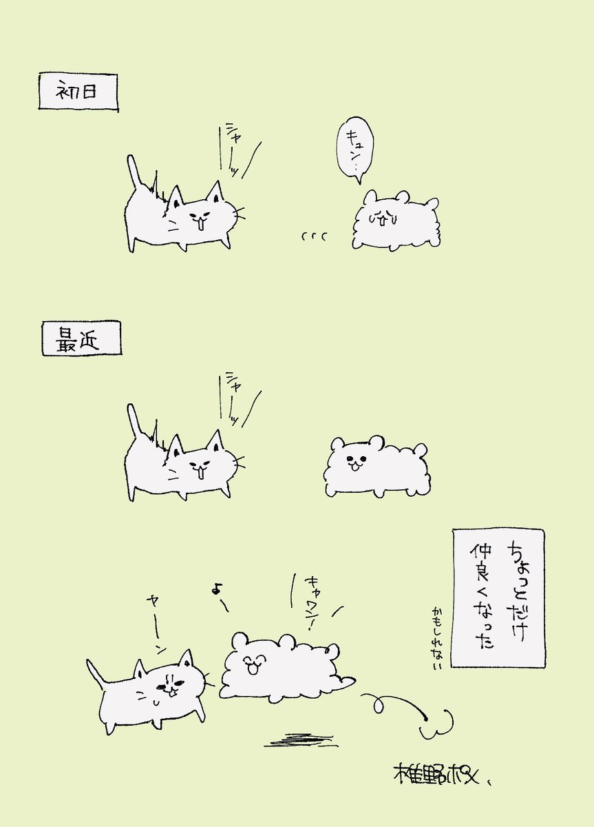 電子ドック電子キャットの日記です 