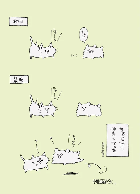 電子ドック電子キャットの日記です 