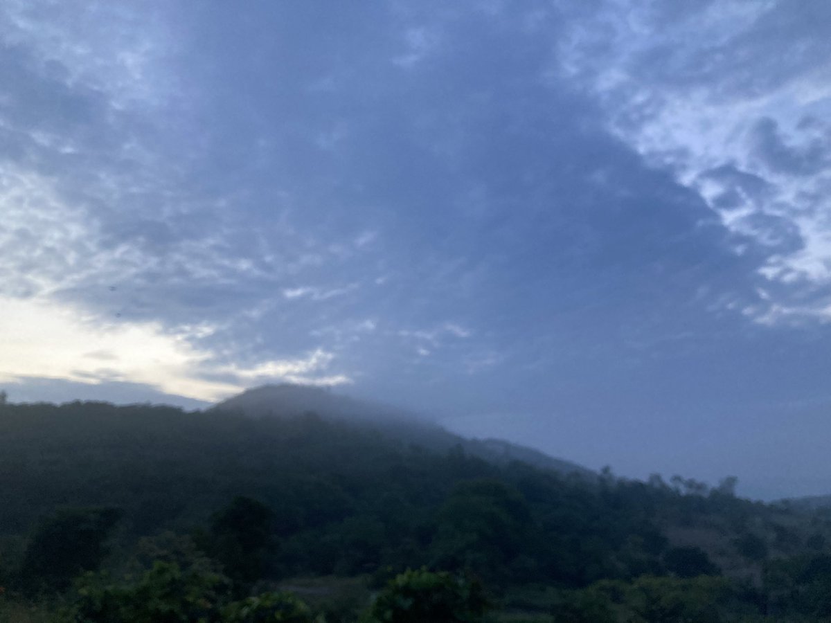 akhaware's tweet image. Started with #ChasingSunlight but after sometime sun was chasing me during today’s ride.😵‍💫😵‍💫
I think I must have lost 1-2 kg today.