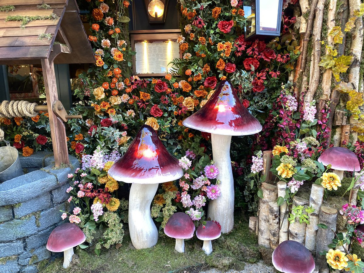 Pretty things 💗 #ChelseaFlowerShow #ChelseaInBloom #BelgraviaInBloom