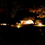 ツイートに含まれる画像