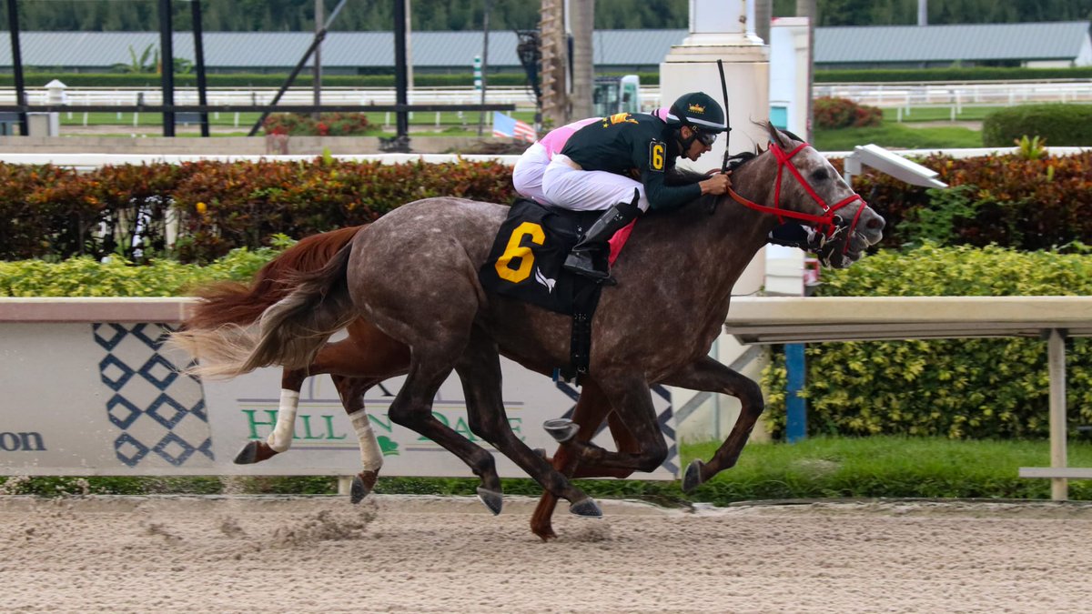 EtorresRacing's tweet photo. #26 GOD IS LOVE @LeojockeyReyes 5ta carrera @GulfstreamPark #SpringSummerMeet gracias a su propietario y a todas las conexiones! Seguimos sumando! https://t.co/QdNX8blKkC