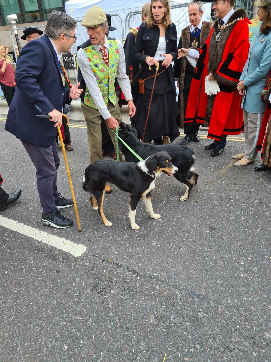 mcress4136's tweet photo. The dogs are ready....
#sheepinthecity https://t.co/5nN05JtBYH