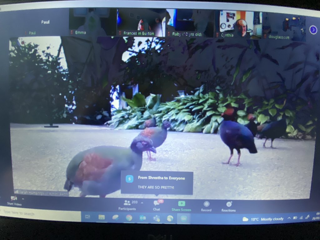 geography_paul's tweet photo. The @edenproject roulroul live on zoom to more than 200 people round the world 🌍 @AimHiLive #AimHiEarth https://t.co/gQ6IyQfEAN