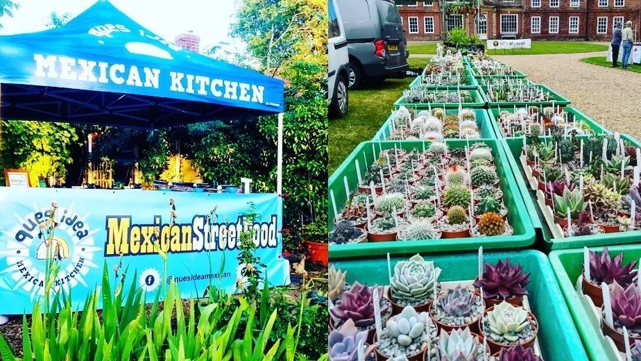 Lullingstone's tweet photo. Day 2 of 'Cactus at the Castle' celebrating with over 20 plant sellers including @darreneverestdahlias , authentic Mexican food & I have my sombrero for garden tours at 12.30 & 2.30pm! https://t.co/vso2iQM7P2 🌵#happysundayeveryone #bcss #cactusweekend #dahlias #plantsforsale https://t.co/buzDRZywm2