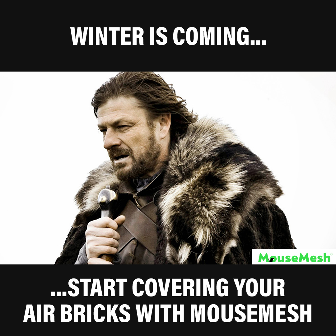 MouseMesh tweet media