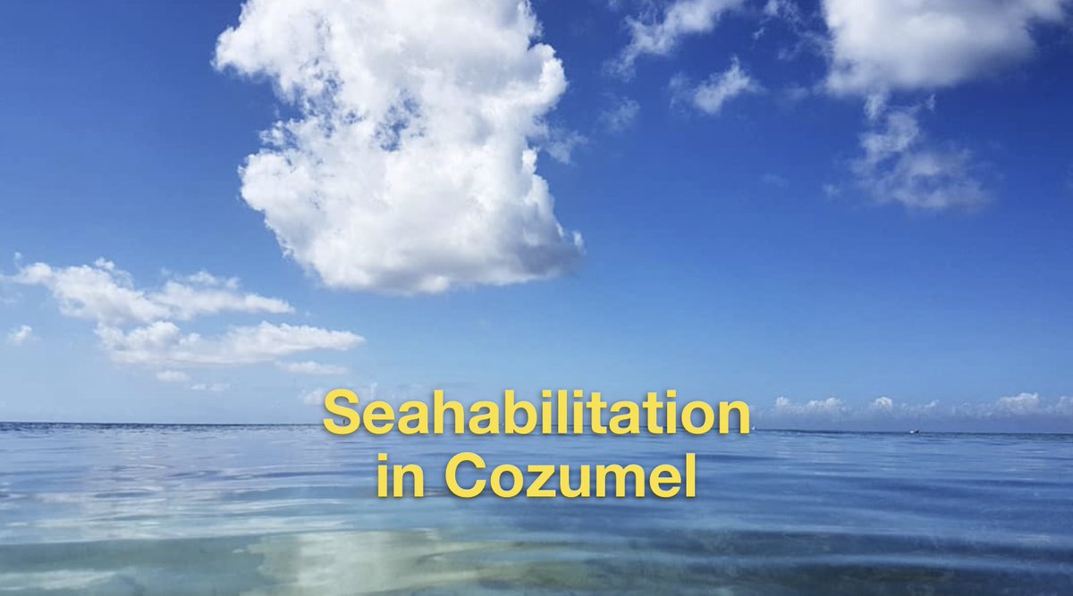 "We are tied to the ocean. And when we go back to the sea, whether it is to sail or to watch - we are going back from whence we came."

Relaxed scuba diving in Cozumel!  ><(((º>  scubaluis.com 

#scuba #Cozumel
