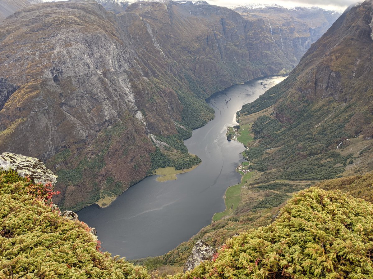 Flobberworm4's tweet photo. Norway was good https://t.co/9d3lxKLFmL